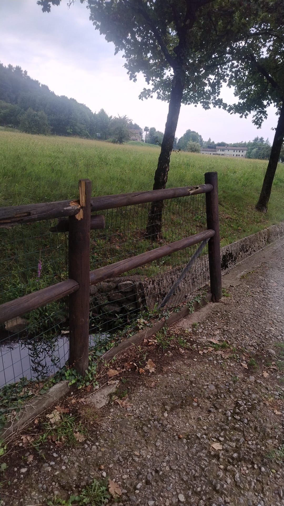 Immagine della segnalazione
